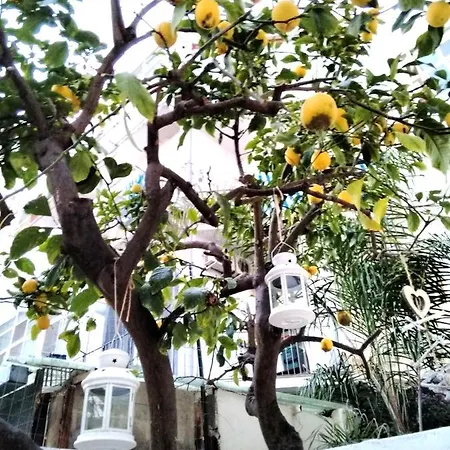 公寓 Willkommen In Einem Private Garden *