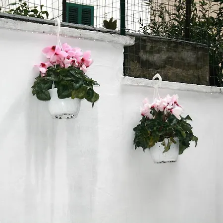 Willkommen In Einem Private Garden 巴里