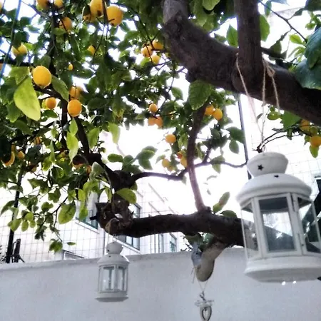 公寓 Willkommen In Einem Private Garden *