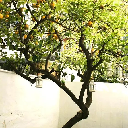 Willkommen In Einem Private Garden Bari