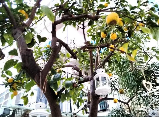 דירה Willkommen In Einem Private Garden *