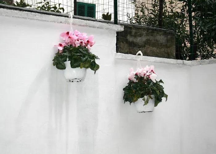Willkommen In Einem Private Garden בארי